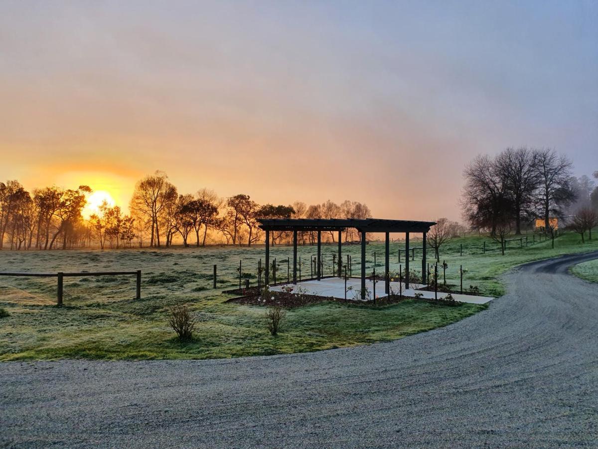 Tallawarra Homestead Tonimbuc Екстериор снимка